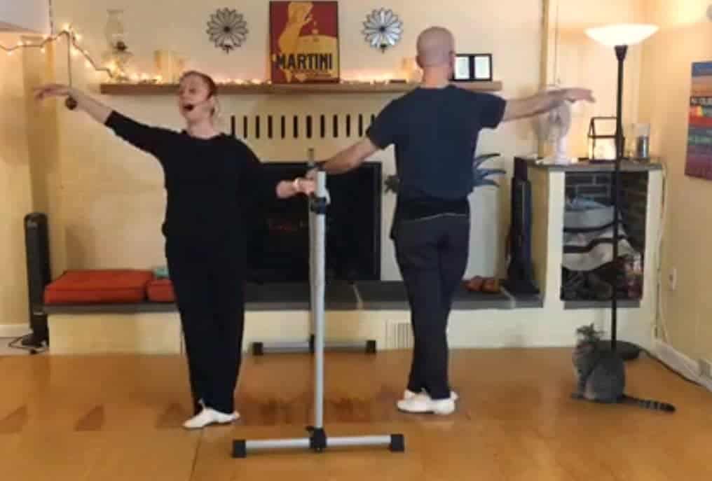 Online Ballet Classes Adults Beginners