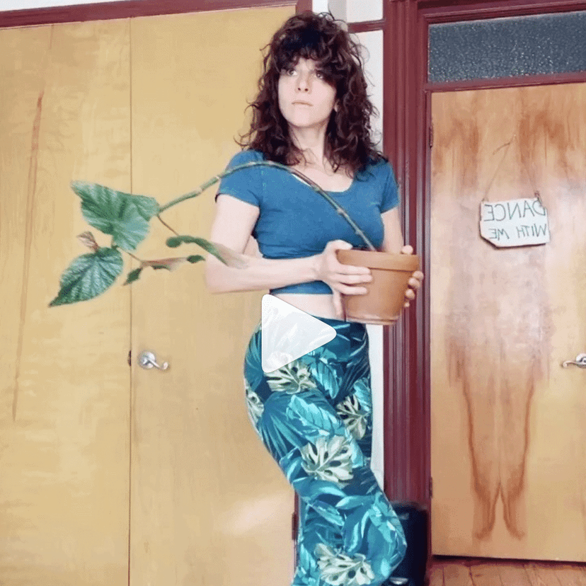 Instagram video of Jess Grippo dancing with a potted plant